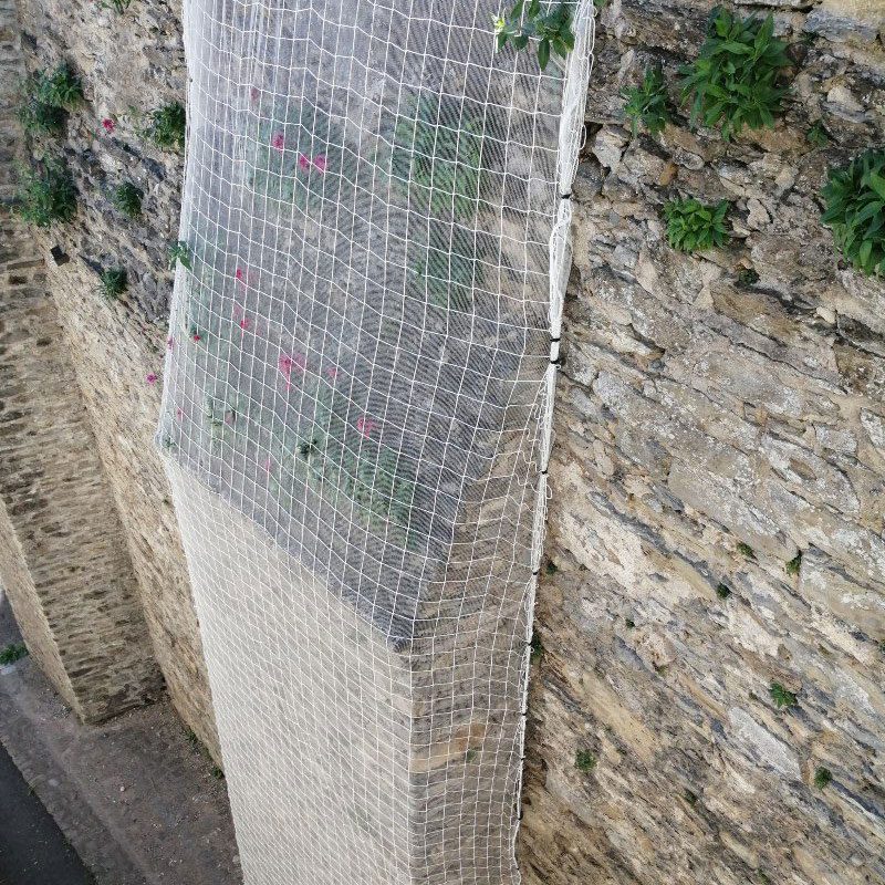 travail sur cordes securisation