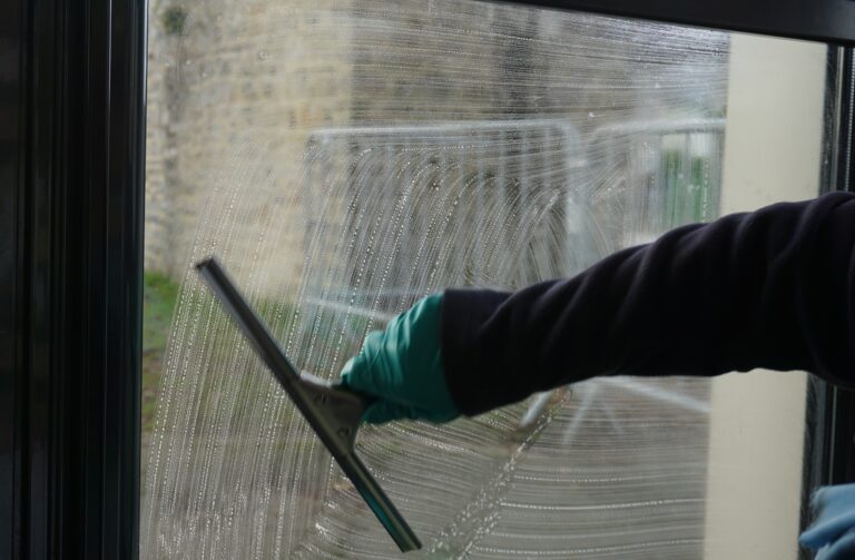 Nettoyage vitrerie